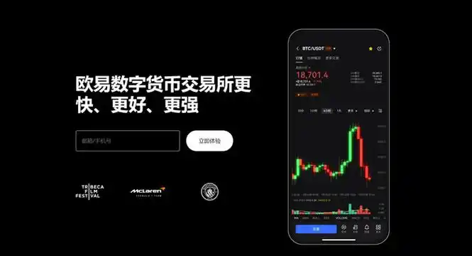 币OK交易下载页面展示
